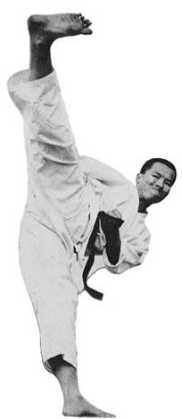 techniky karate