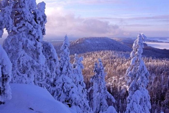 Karelia v zimě fotografie