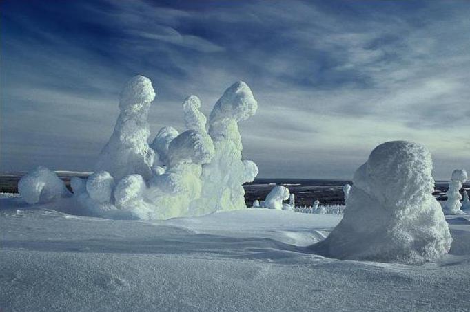Karelijski zimski pregledi