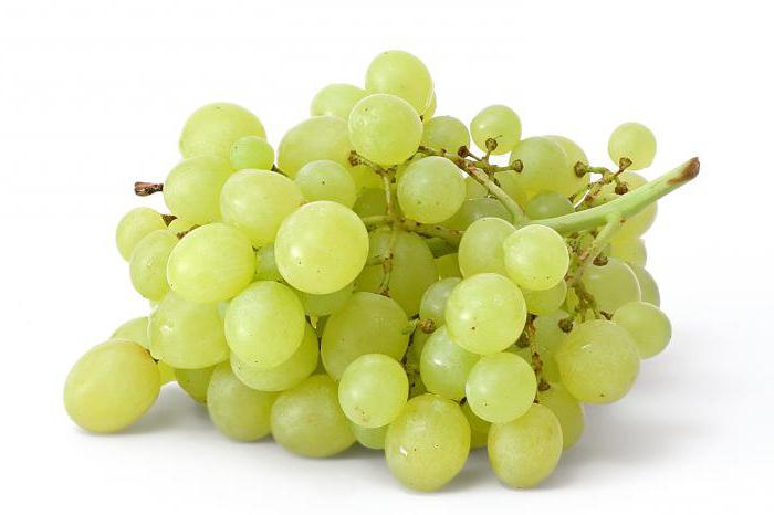 descrizione e foto del grappolo d'uva