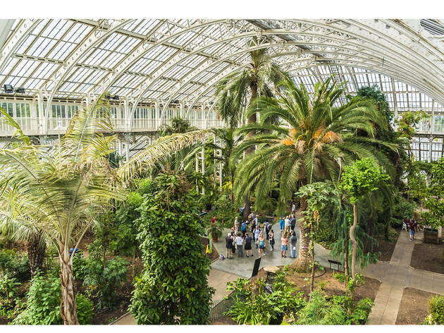 Palmová galerie v zahradách Kew