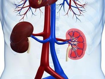 Metastasi al rene