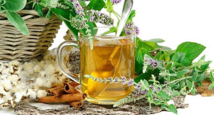 Herbata Bio Evalar na nerki