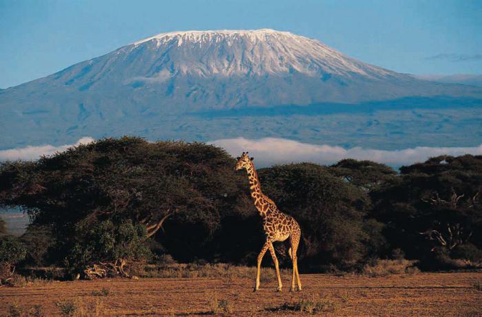 Vulkan Kilimanjaro na zemljevidu