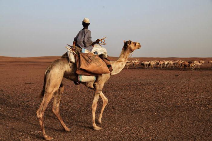 Klimat w Północnym Sudanie