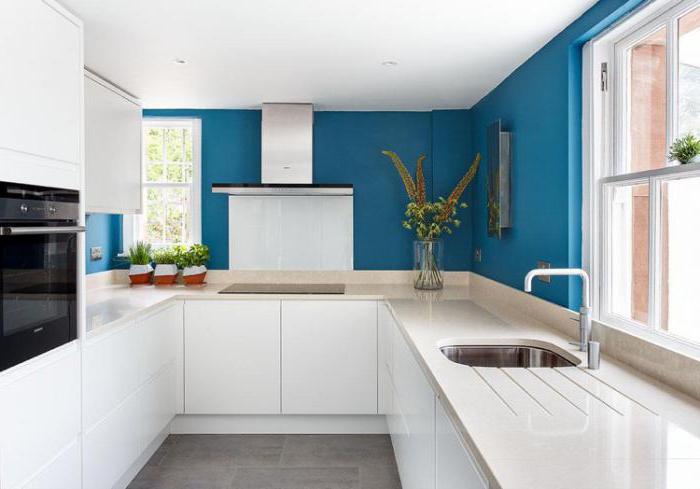 interno della cucina nello stile della foto del minimalismo