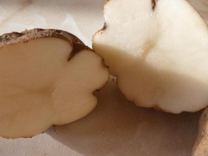 parassiti di patata kiwi