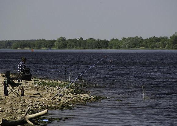łowienie ryb w zbiorniku Krasnodar