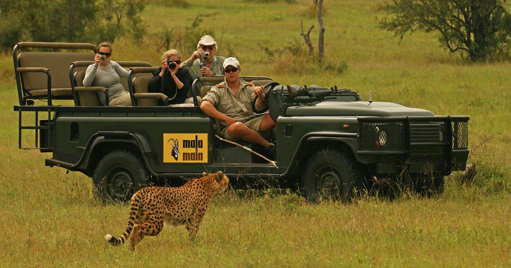 Jeep tura, poznavanje divjih živali