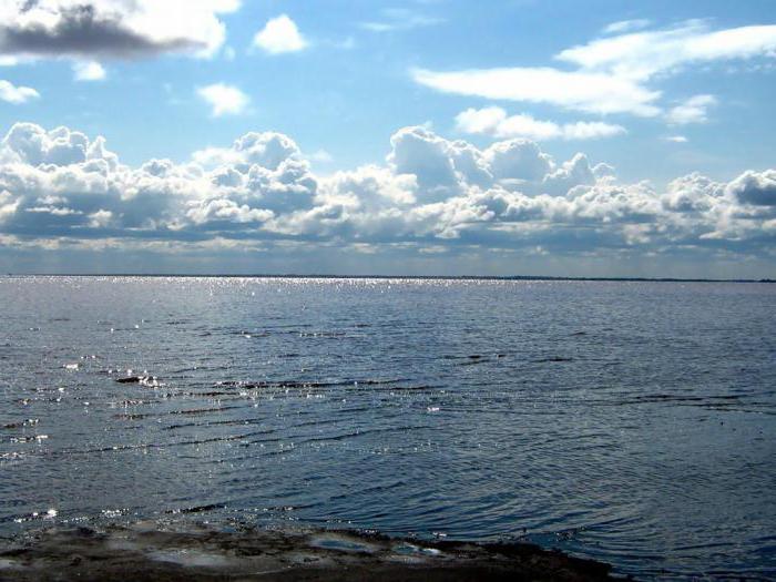 Jeziora Kulunda