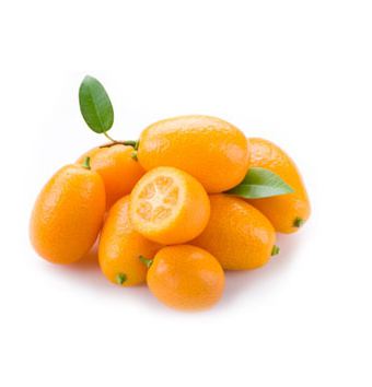 Kumquat nagami raste doma
