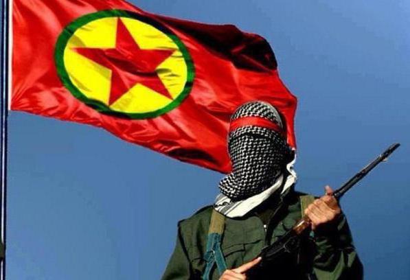 Михаил Николаевски пише срещу Кюрдската работническа партия