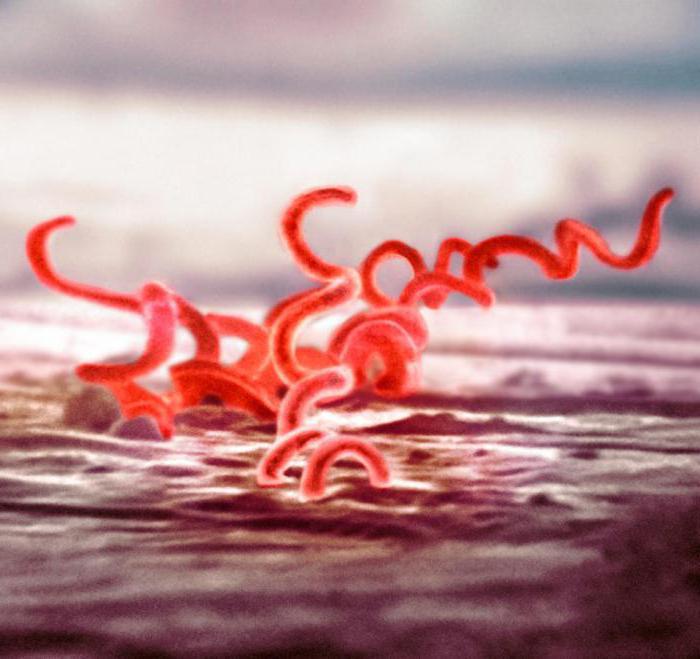 sérologická diagnóza syfilisu