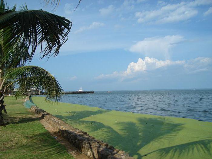 Jezioro Maracaibo