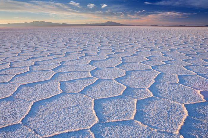 Saline Salar de Uyuni Bolivia