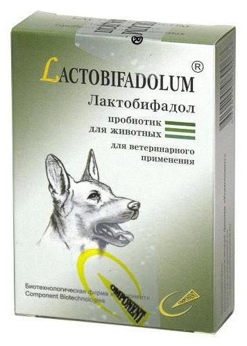 лактобифадол за кучета