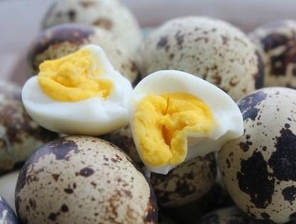 jak vařit křepelčí vejce