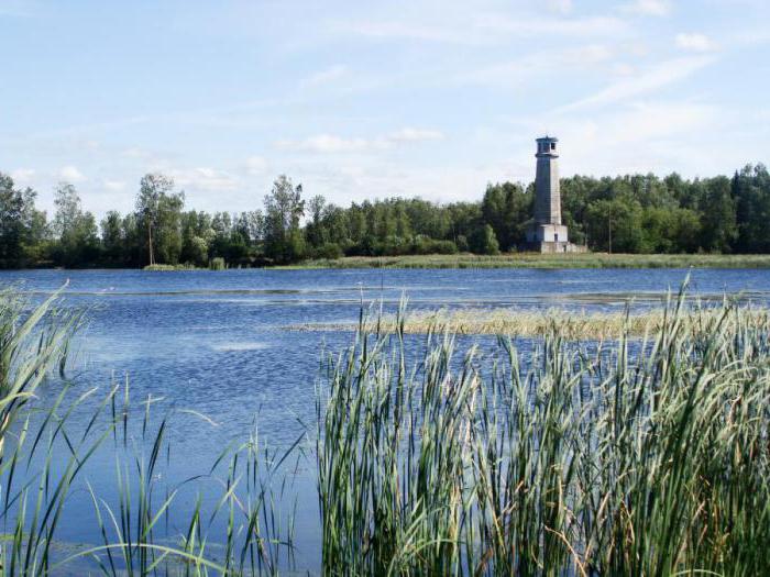 Labutí jezero Dubna