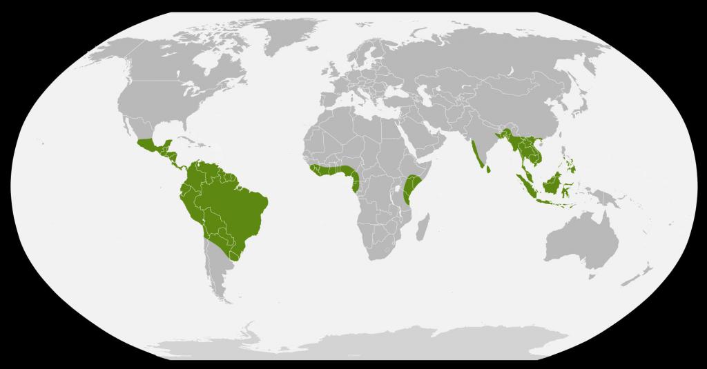 Mapa przesiedlenia robaków