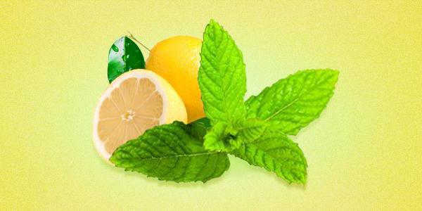 citronových mátových přínosů pro zdraví