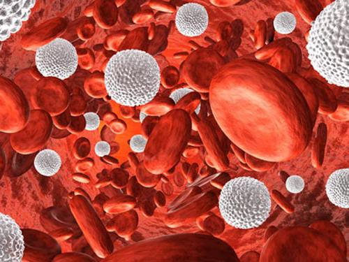 belih krvnih celic pri otroku