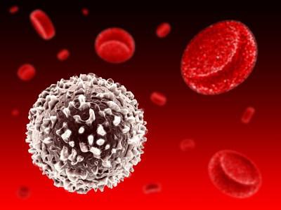 krevních leukocytů