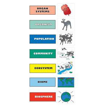 tabella dei livelli di organizzazione della fauna selvatica