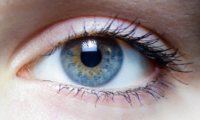 kloramfenikolno oko