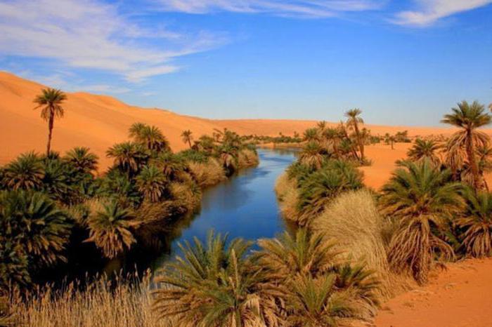 kde je libyjská poušť