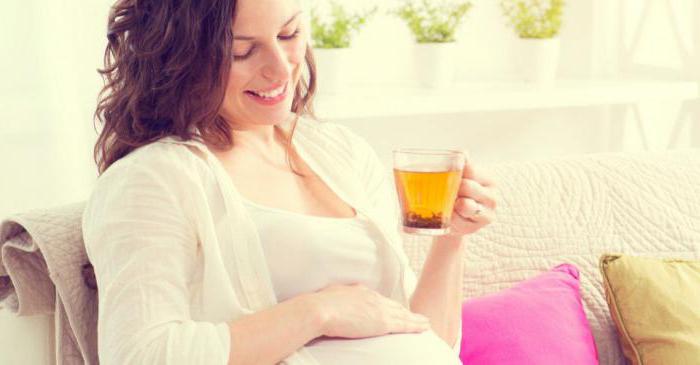 je možné kořen lékořice během těhotenství
