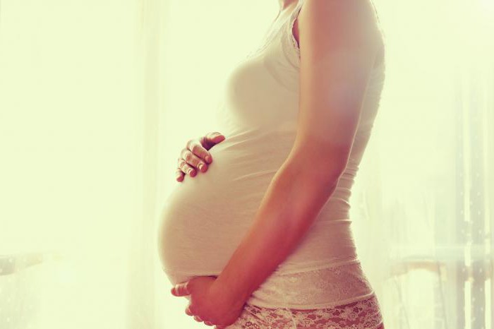 екстракт от женско биле по време на бременност