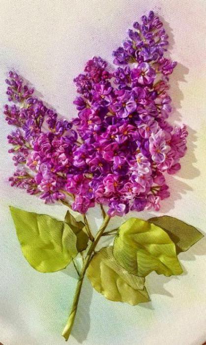 majstorski tečaj lila grane