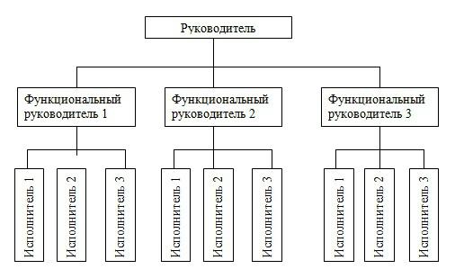 lineární schéma struktury funkční kontroly