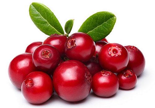 Lingonberry znižuje ali povečuje recepte