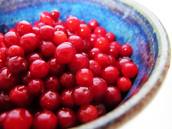 lingonberry mors recept