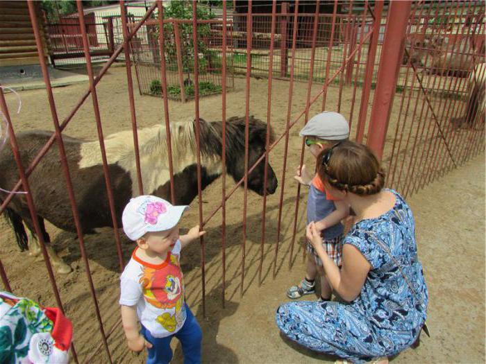 Pregledi - Zoološki vrt Lipetsk