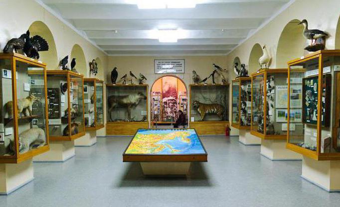 muzeum místní historie výstavy motýlů Saratov