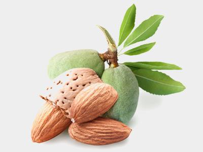 užitečné vlastnosti mandlového ořechu