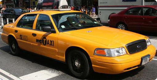 taxi recensioni fortunate