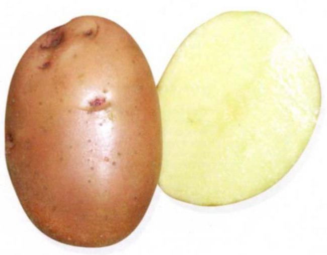 след което да засадят картофи