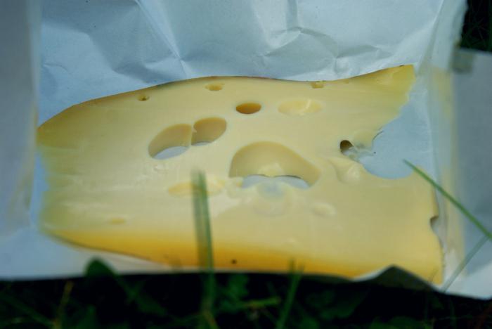 maasdam cheese maker