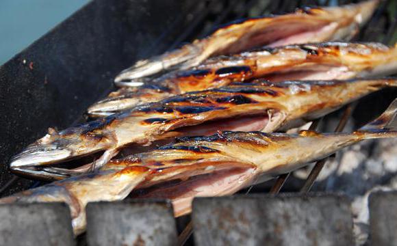 makrela z grilla