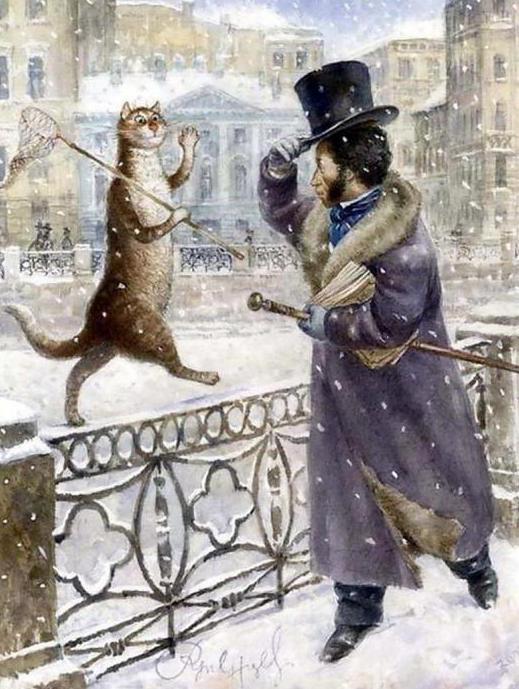 Sankt Peterburg mačke Vladimir Rumyatseva