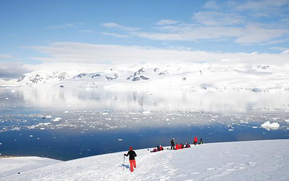 terraferma antartico fatti interessanti