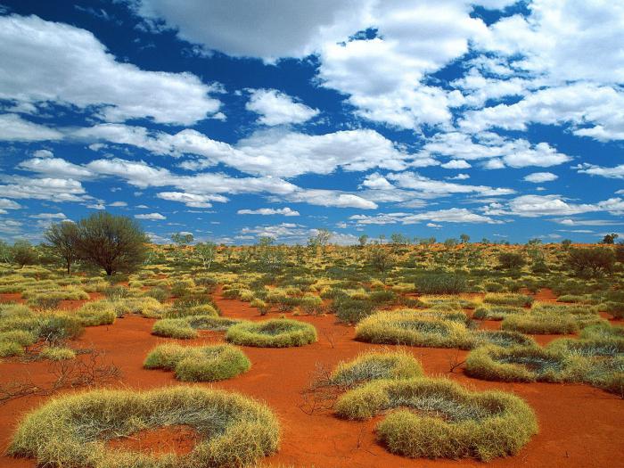 Austrálie přírodní oblasti