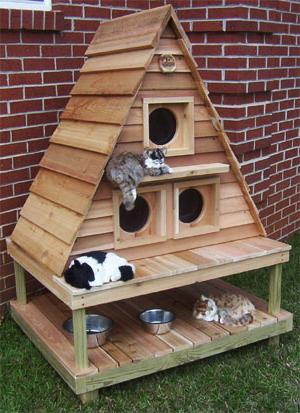 Hiša za mačke z lastnimi rokami