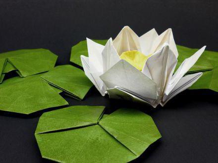 jak vyrobit papírové vodní lilie