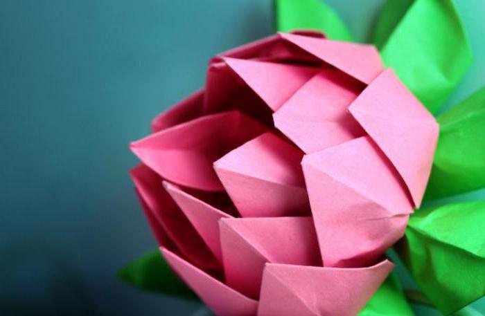 Jak vyrobit papír květu vodní lilie