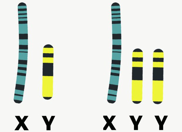 oznaka muškog kromosoma