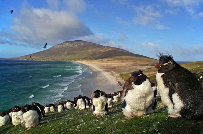 Falklandski otoki (Malvini), Argentina
